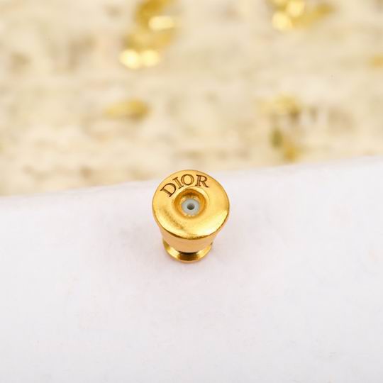 Dior Earring 12lyh16 (6)
