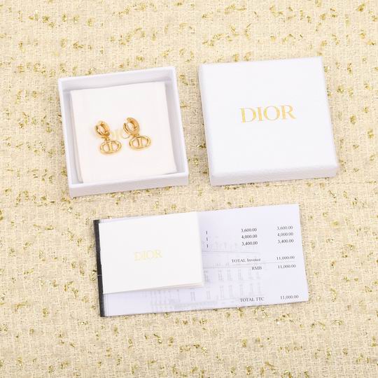 Dior Earring 12lyh17 (5)