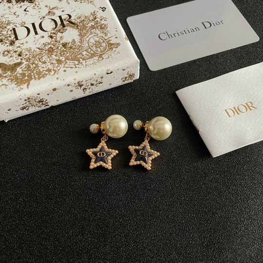 Dior Earring 12lyh19 (1)