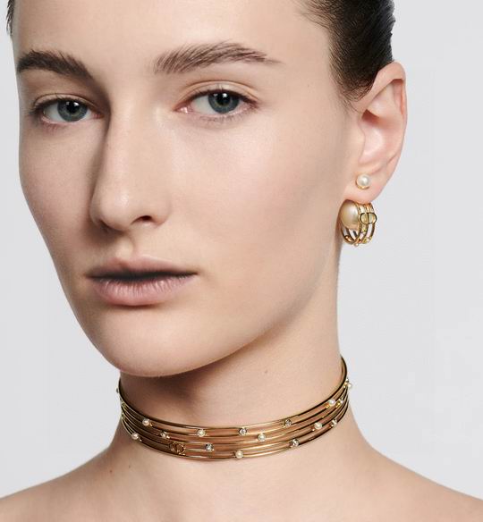 Dior Earring 12lyh26 (5)