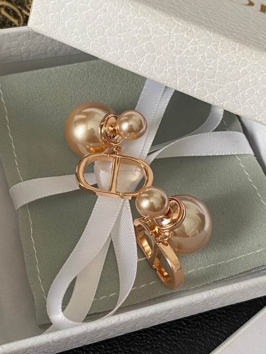Dior Earring 12lyh27 (2)