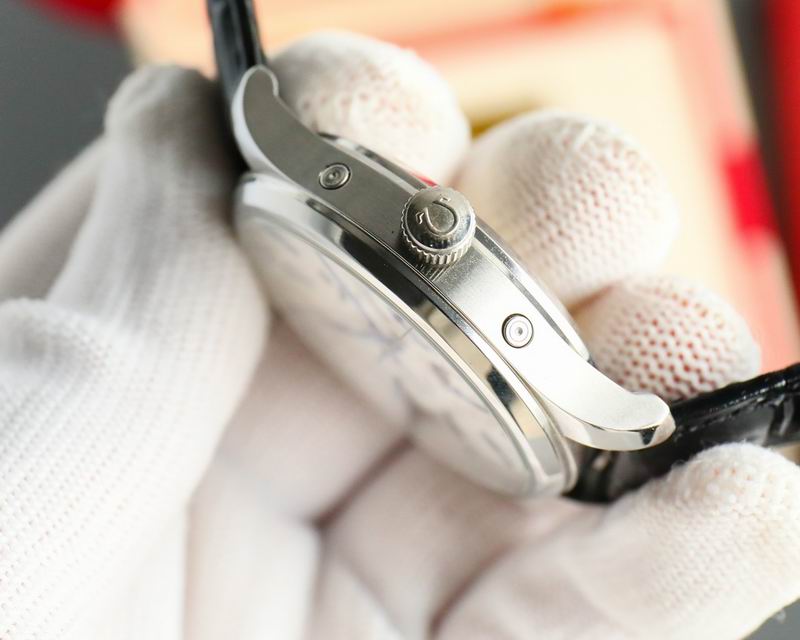 Omega 40X12mm 26-Constellation (12)