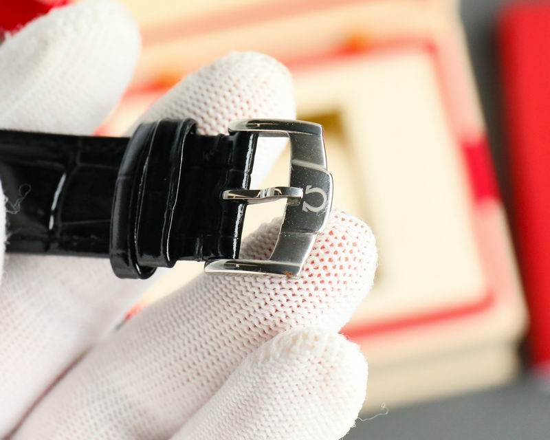 Omega 40X12mm 26-Constellation (4)