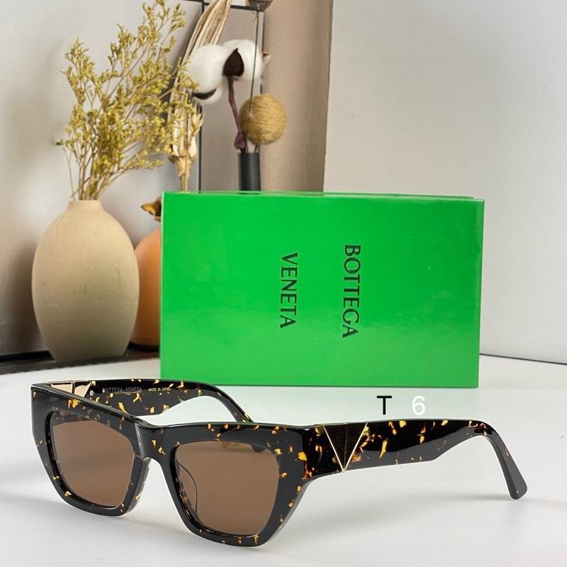 BV BV1177S 55 20-145 e04