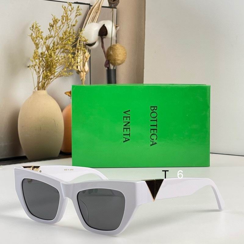 BV BV1177S 55 20-145 e05