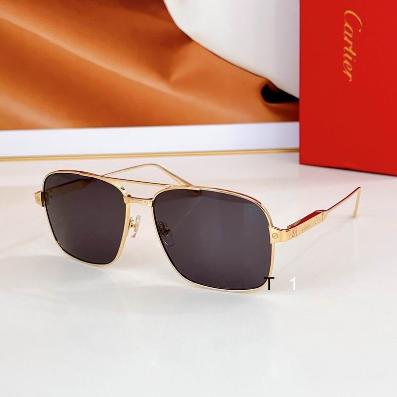 Cartier CT0419S 58 17-145 a06