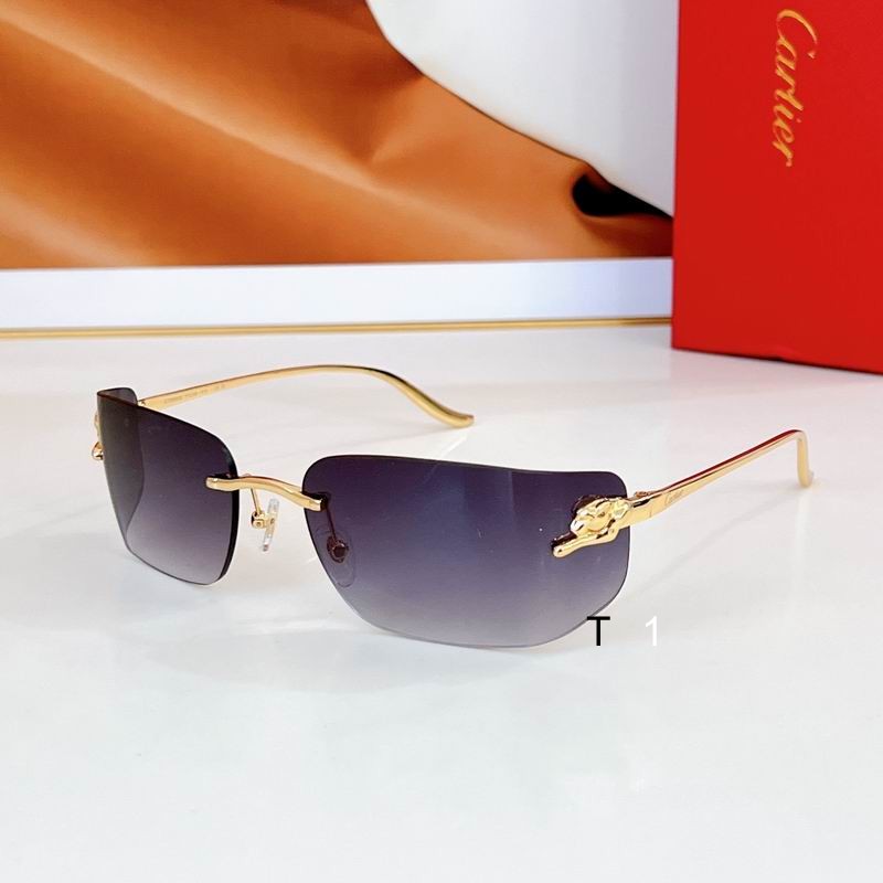 Cartier CT0503S 71 18-115 a01