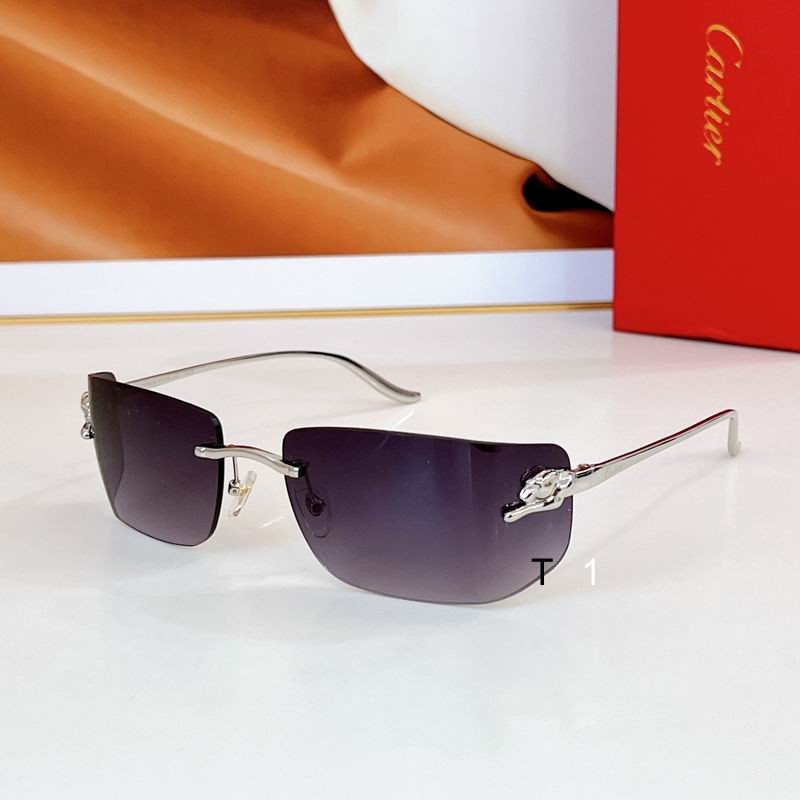 Cartier CT0503S 71 18-115 a02