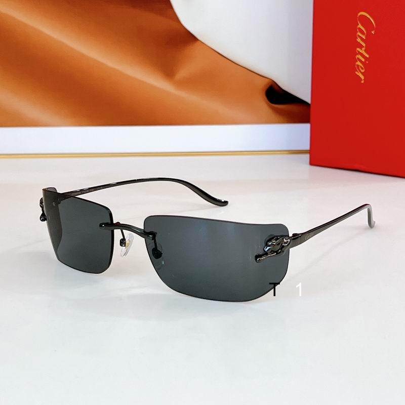 Cartier CT0503S 71 18-115 a03