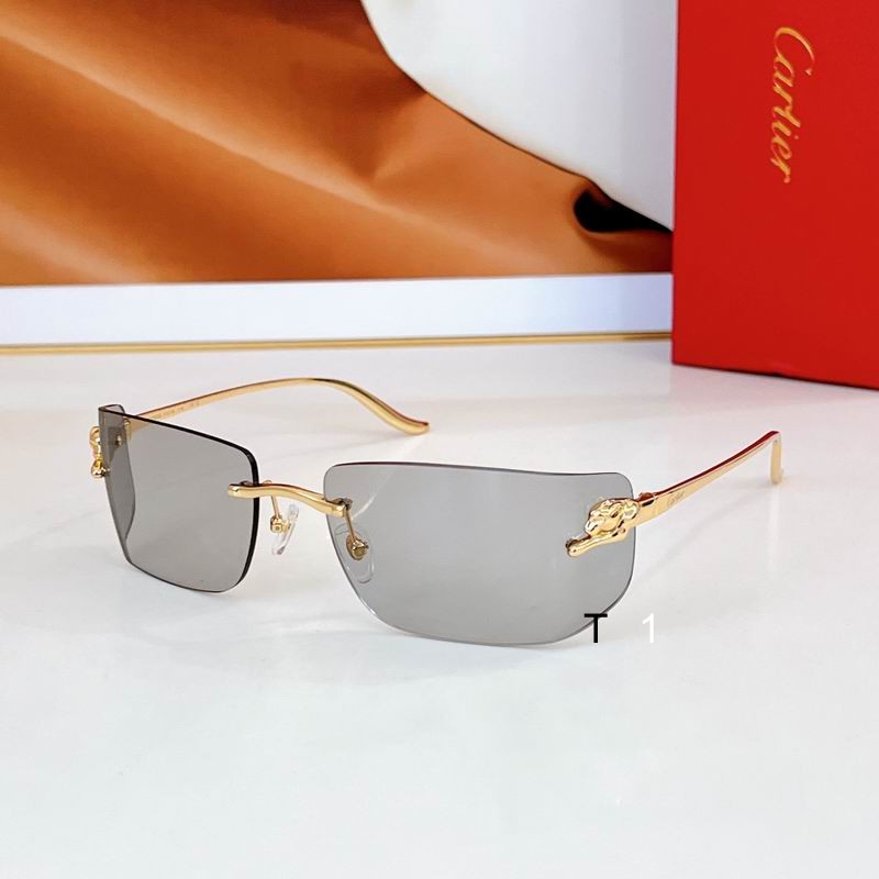 Cartier CT0503S 71 18-115 a06