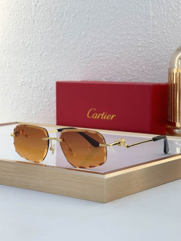 Cartier CT0058O 55 18-135 C01