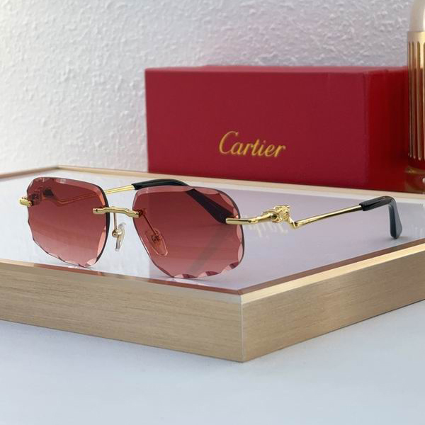 Cartier CT0058O 55 18-135 C02