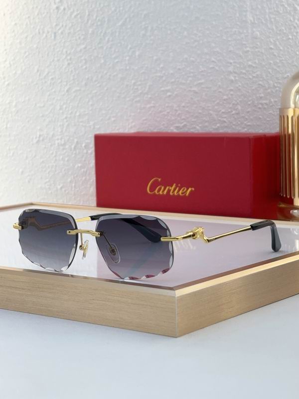 Cartier CT0058O 55 18-135 C03