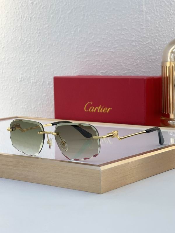 Cartier CT0058O 55 18-135 C04