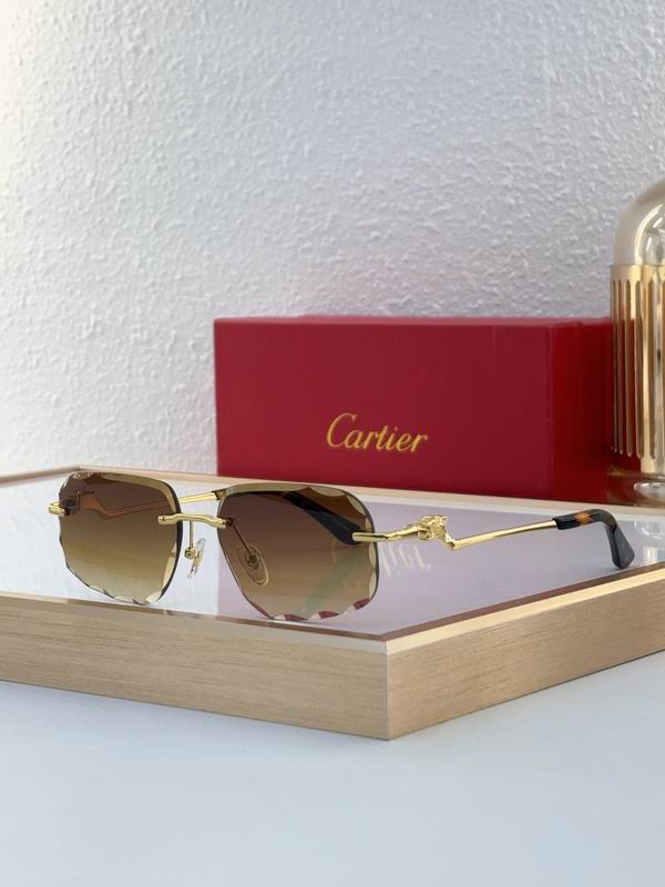 Cartier CT0058O 55 18-135 C05