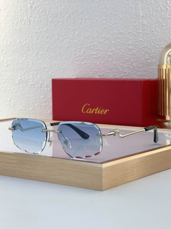 Cartier CT0058O 55 18-135 C06