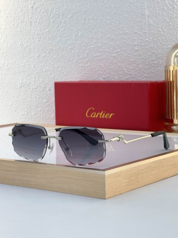 Cartier CT0058O 55 18-135 C07
