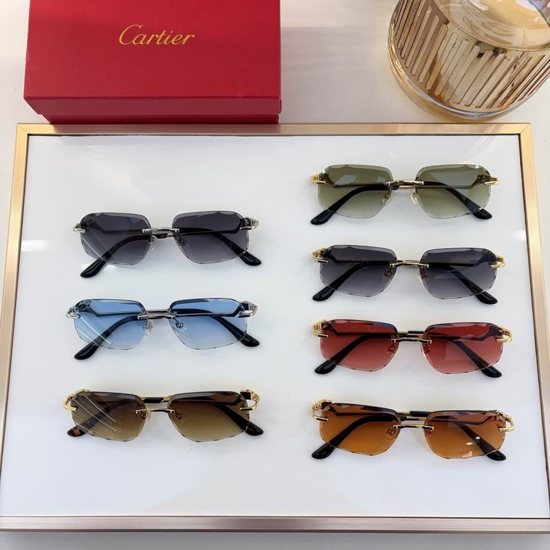 Cartier CT0058O 55 18-135 C08