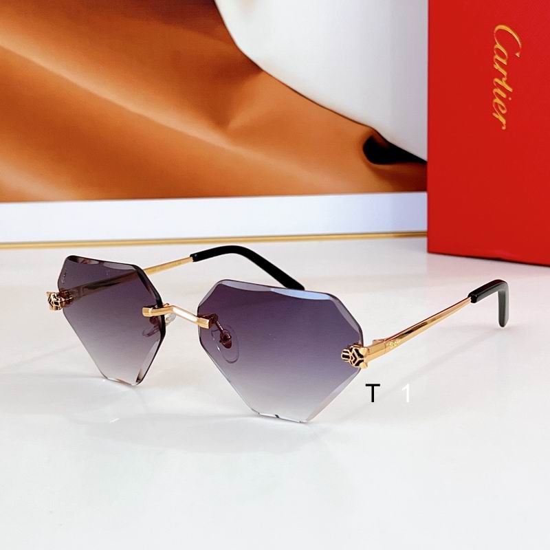 Cartier CT0399S 57 20-140 a04