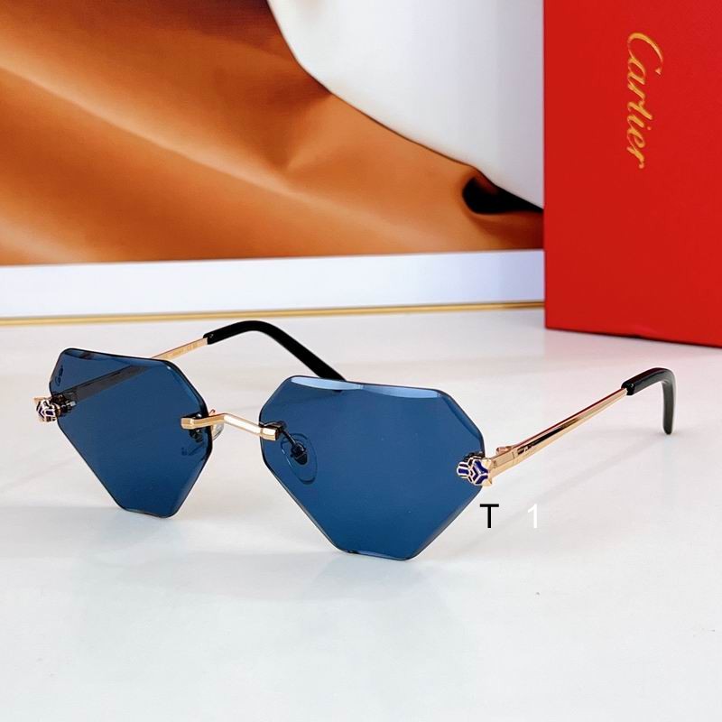 Cartier CT0399S 57 20-140 a05