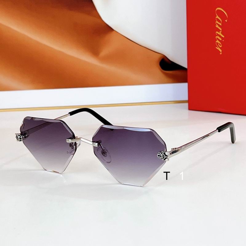 Cartier CT0399S 57 20-140 a06