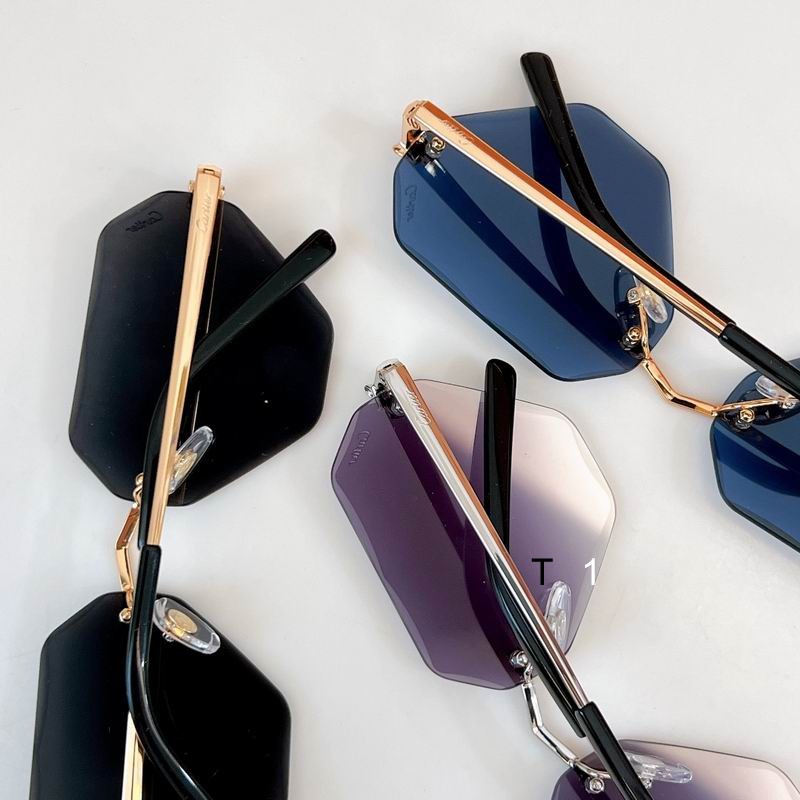 Cartier CT0399S 57 20-140 a08