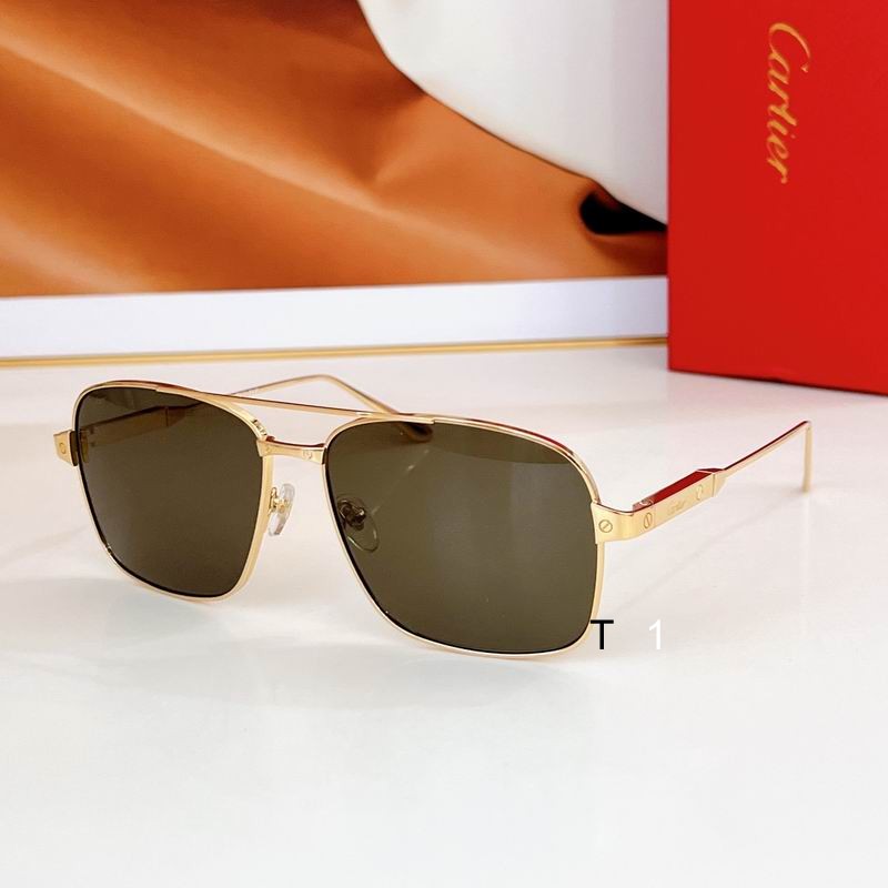 Cartier CT0419S 58 17-145 a04