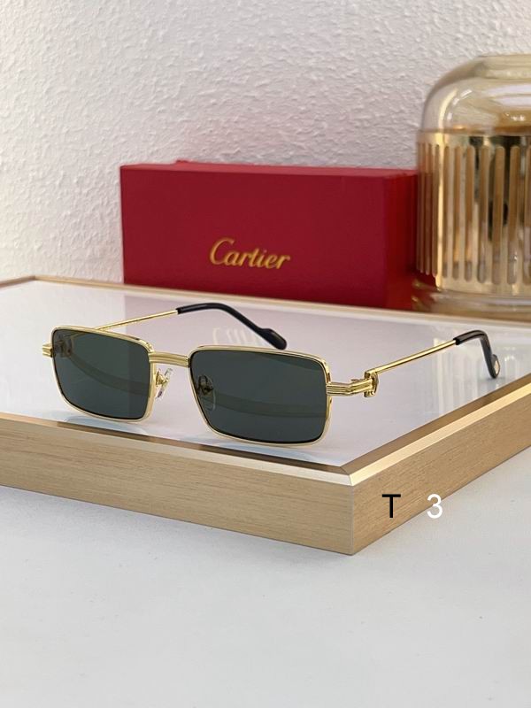 Cartier CT0501S 56 20-145 c01