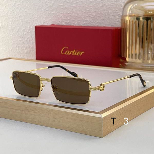 Cartier CT0501S 56 20-145 c02