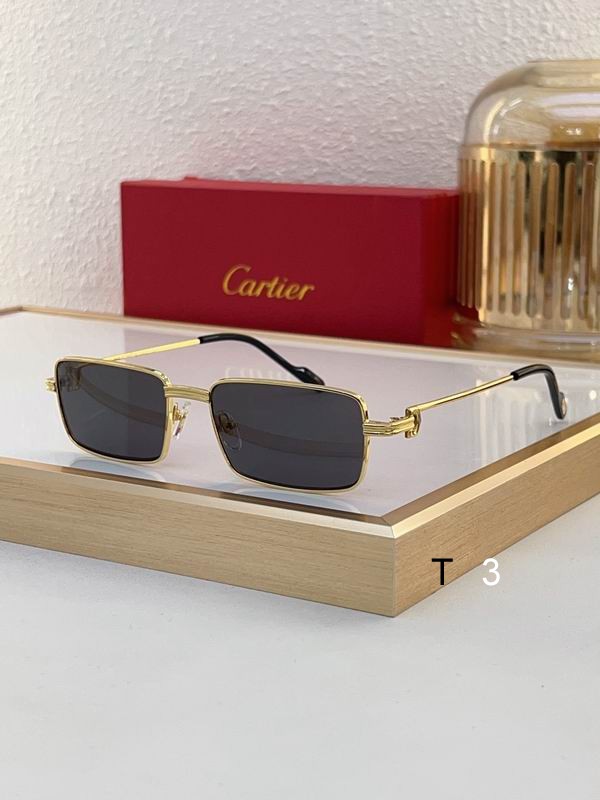 Cartier CT0501S 56 20-145 c03