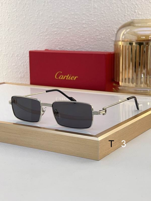 Cartier CT0501S 56 20-145 c04