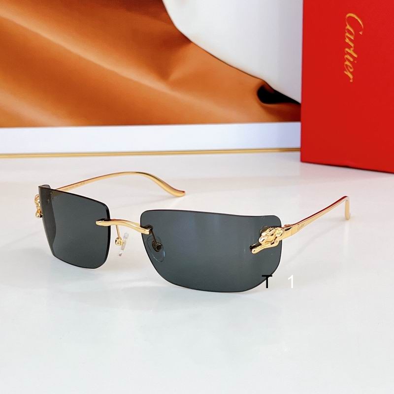 Cartier CT0503S 71 18-115 a04