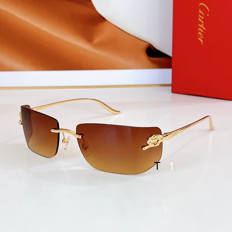 Cartier CT0503S 71 18-115 a05