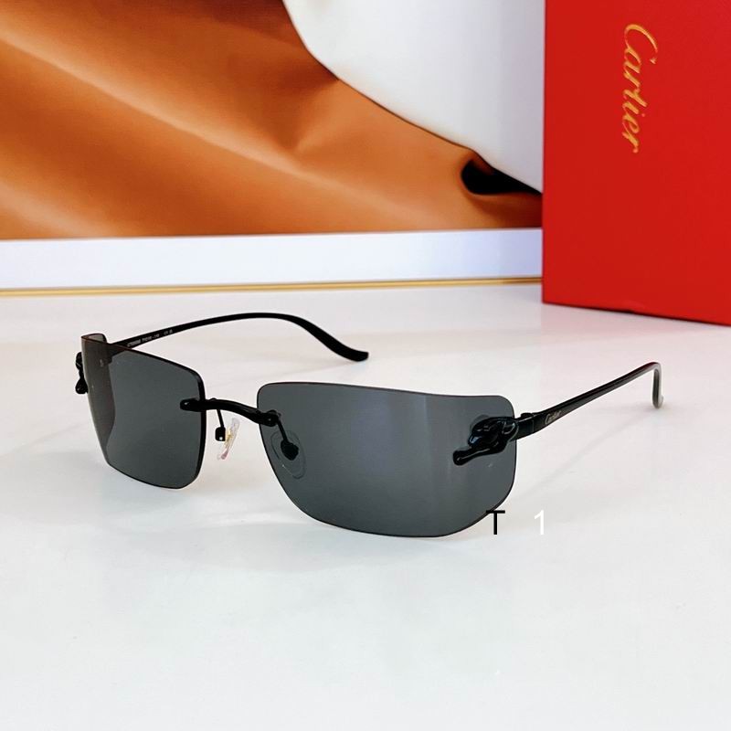 Cartier CT0503S 71 18-115 a07