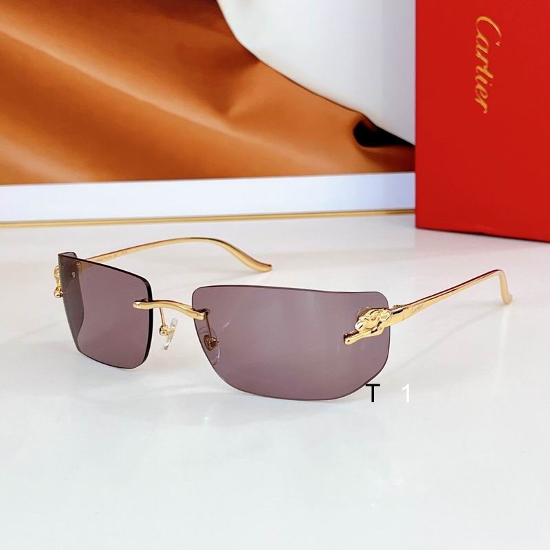 Cartier CT0503S 71 18-115 a08