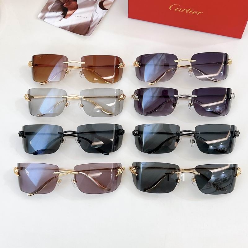 Cartier CT0503S 71 18-115 a09