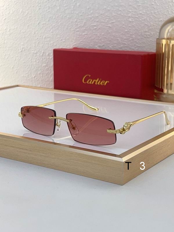 Cartier CT0505S 58 16-135 c01