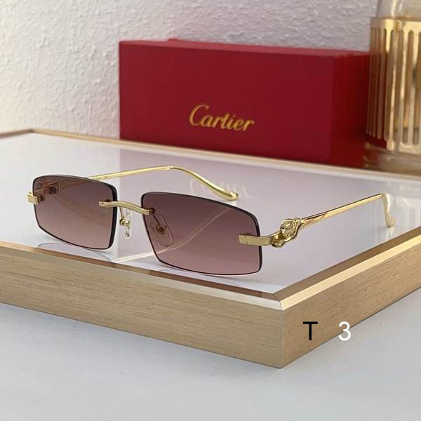 Cartier CT0505S 58 16-135 c02