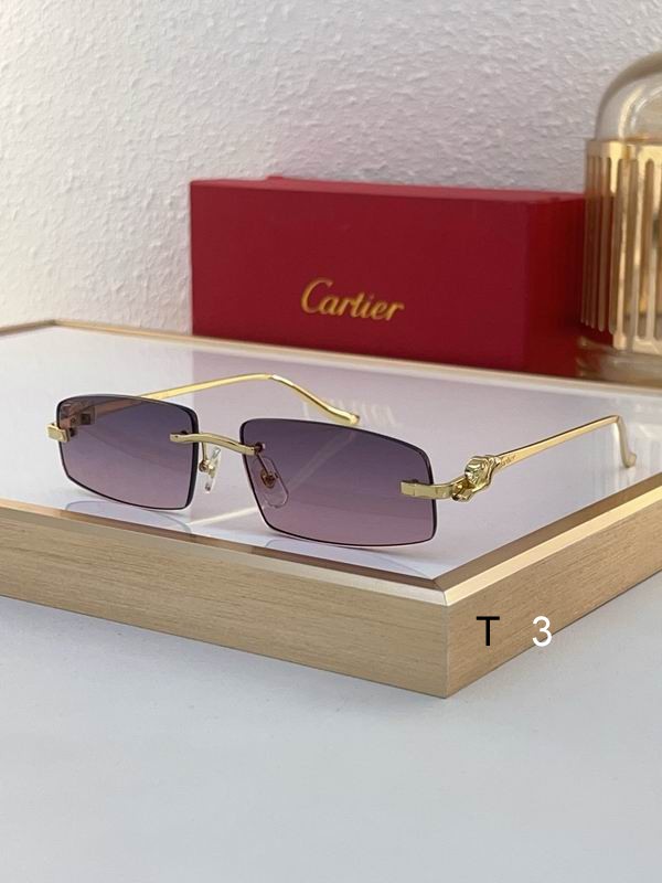 Cartier CT0505S 58 16-135 c03