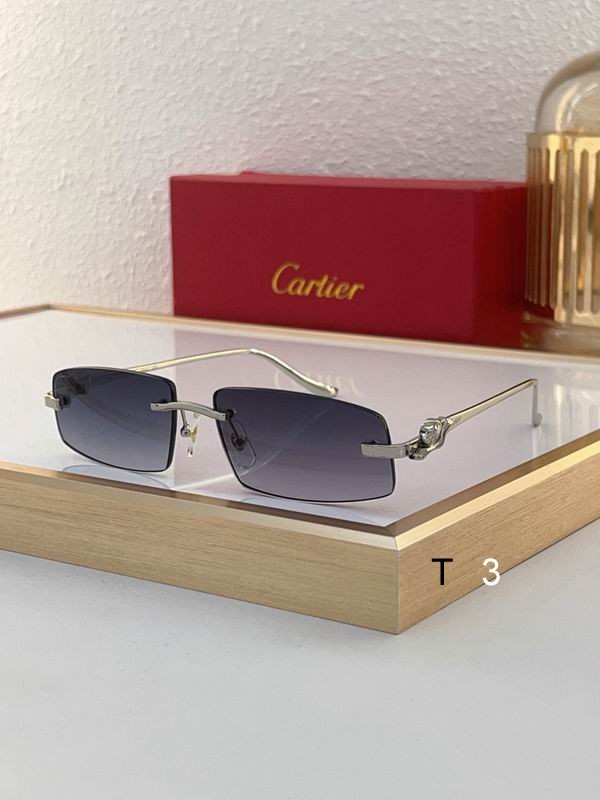 Cartier CT0505S 58 16-135 c04