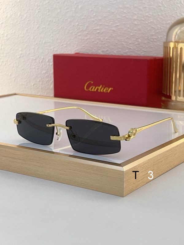 Cartier CT0505S 58 16-135 c05