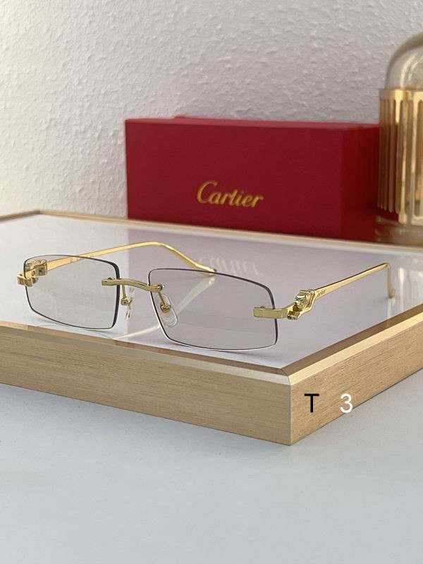Cartier CT0505S 58 16-135 c06