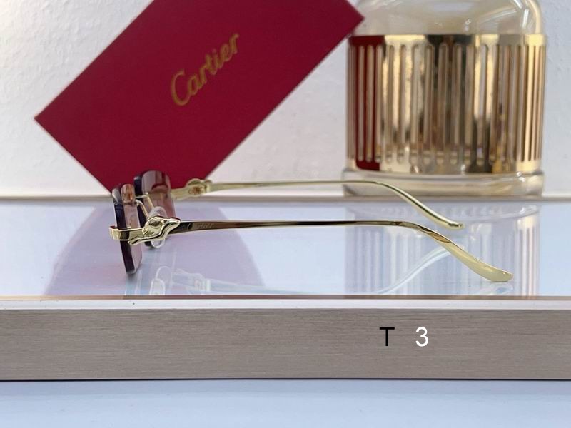 Cartier CT0505S 58 16-135 c07