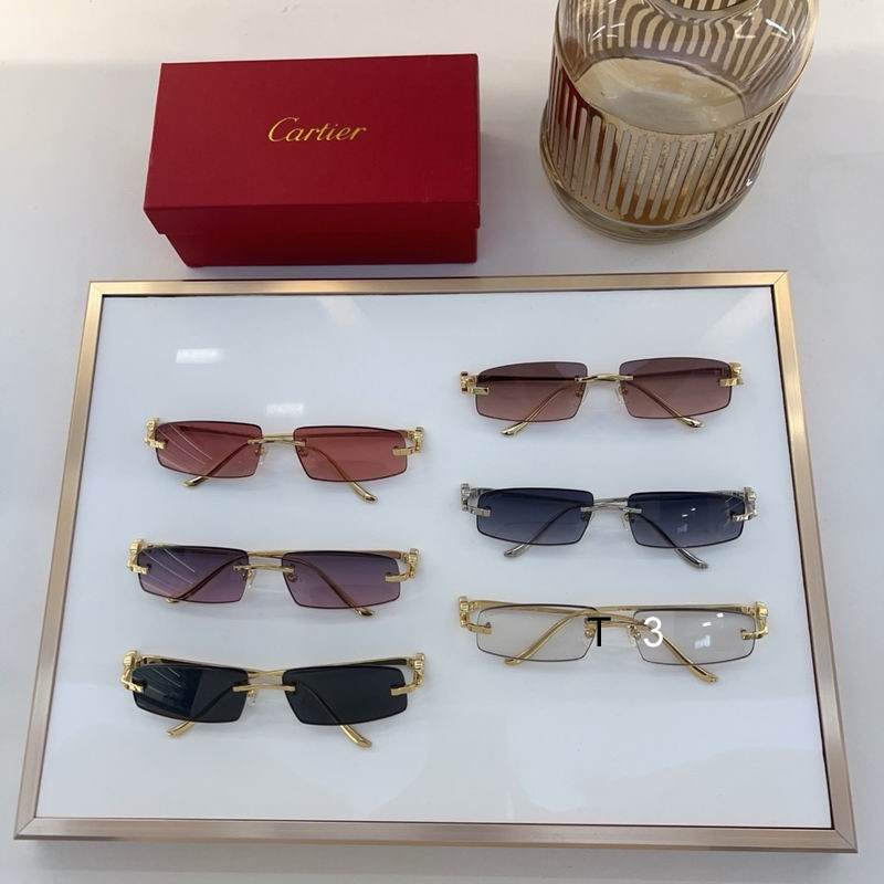 Cartier CT0505S 58 16-135 c08