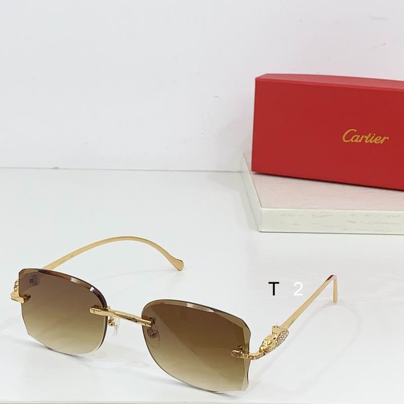 Cartier CT0517S b01