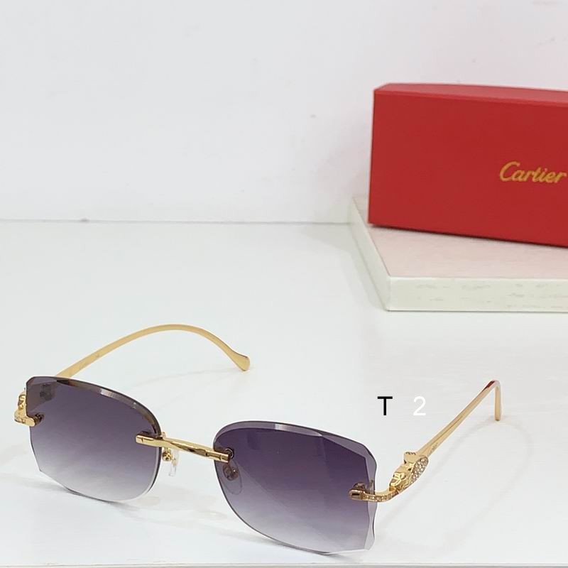 Cartier CT0517S b02