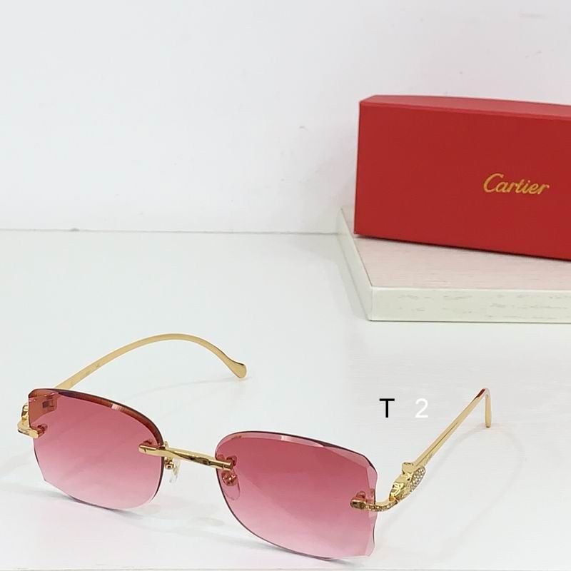 Cartier CT0517S b03