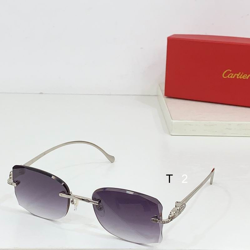 Cartier CT0517S b05