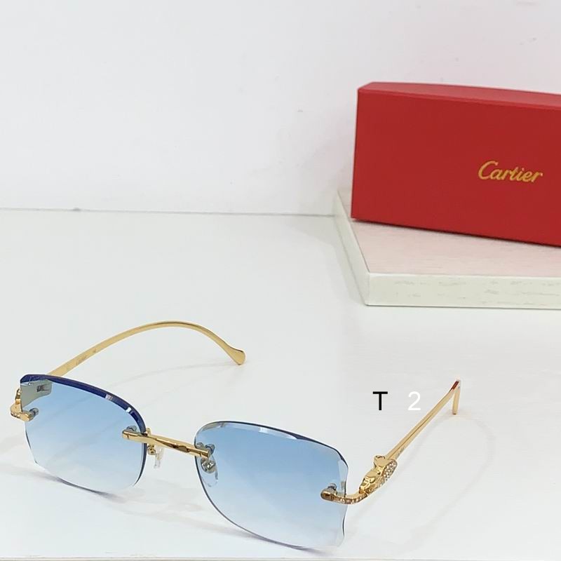 Cartier CT0517S b06