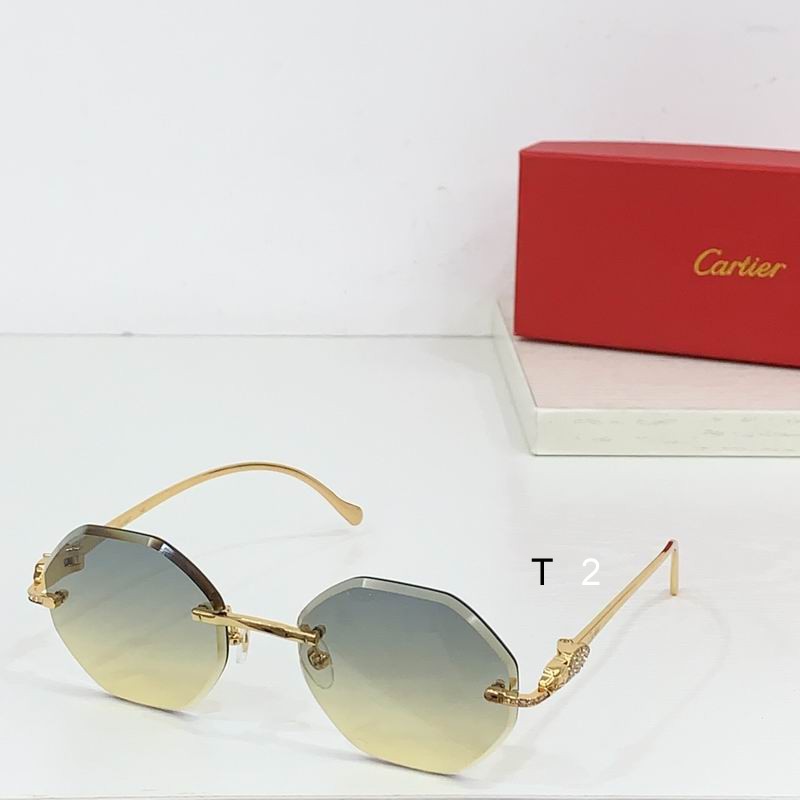 Cartier CT0518S b01
